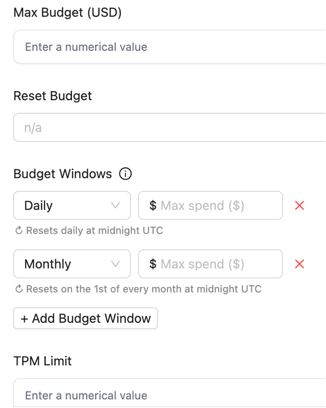 LiteLLM Budget Window 配置