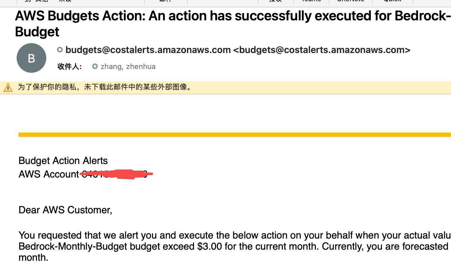 Budget Action 自动阻断测试结果